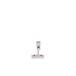 Picture of Display Clip Adjustable Arm (Pk 5) 10X8cm