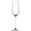 Picture of Vista Champagne Flute 8.75oz (25cl)