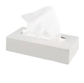 Picture of Flat Box Facial Tissue White 2ply 100 Sheets 36x100pack
