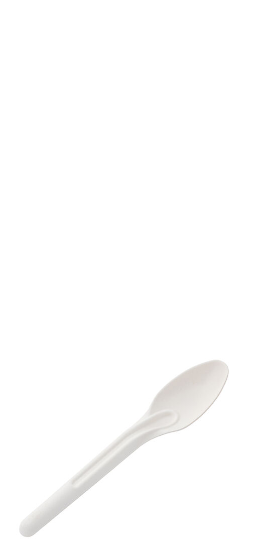 Picture of Natural Sugarcane Spoon 5.75" (14.5cm) -Box o