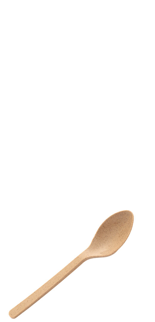 Picture of Agave Teaspoon 6" (15cm) - Box of 250