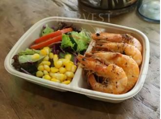 Picture of Rectang Tray with 2 Compartments 16x23cm 300